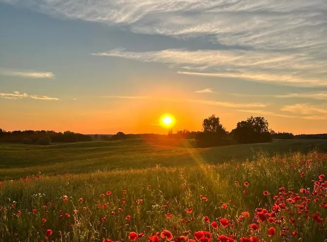 Affittacamere Katrin 3*